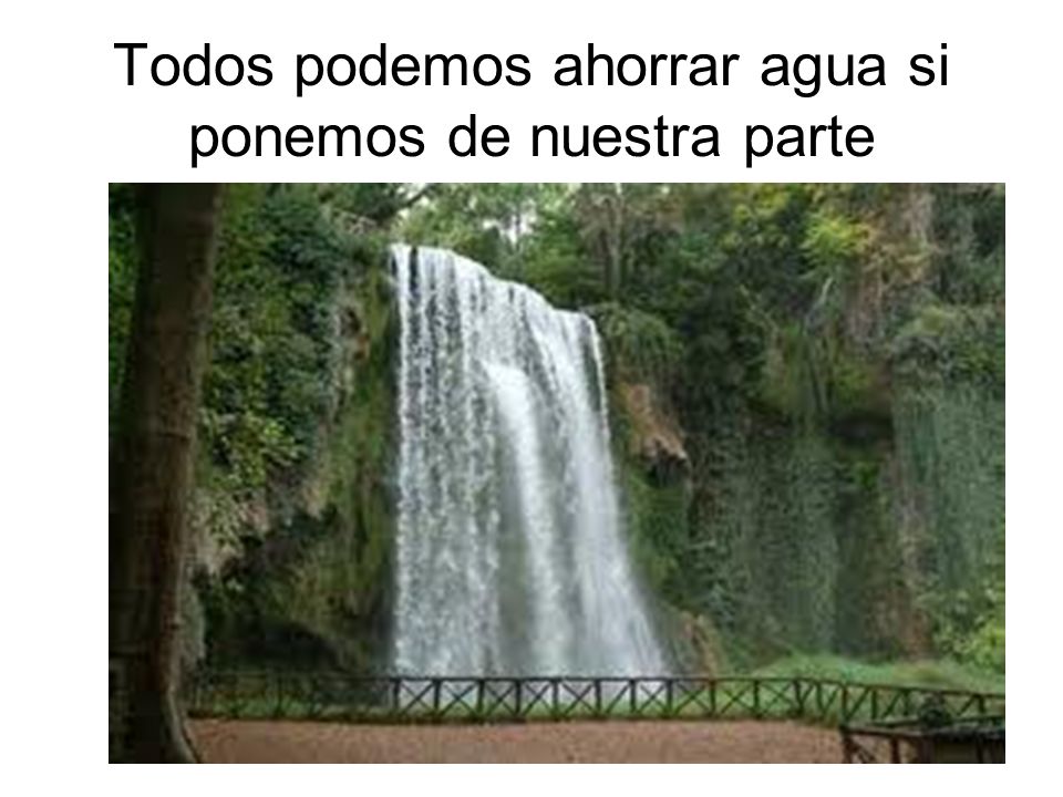 Todos podemos ahorrar agua si ponemos de nuestra parte