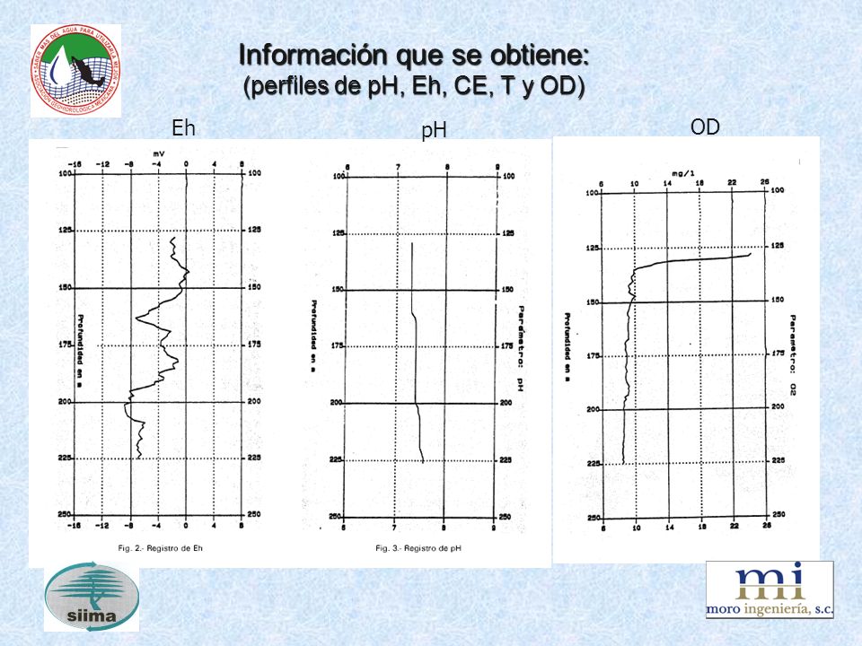 Información que se obtiene: (perfiles de pH, Eh, CE, T y OD)