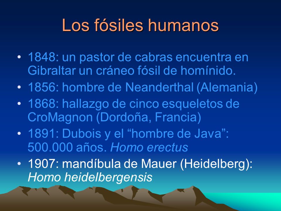Los fósiles humanos 1848: un pastor de cabras encuentra en Gibraltar un cráneo fósil de homínido. 1856: hombre de Neanderthal (Alemania)