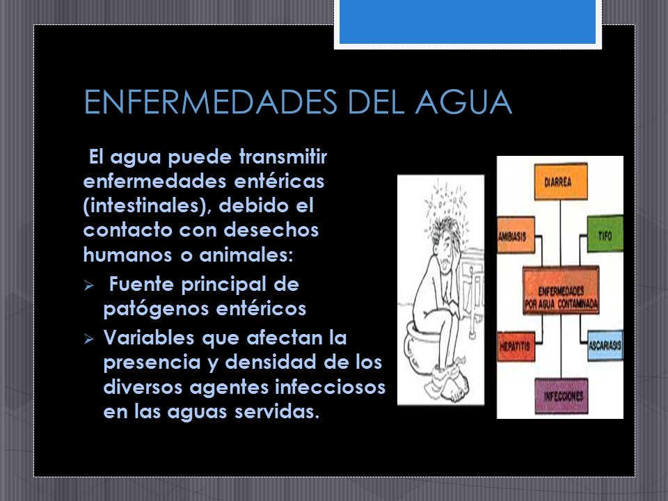 ENFERMEDADES DEL AGUA El agua puede transmitir enfermedades entéricas (intestinales), debido el contacto con desechos humanos o animales: