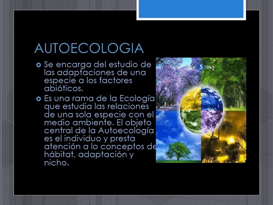 AUTOECOLOGIA Se encarga del estudio de las adaptaciones de una especie a los factores abióticos.