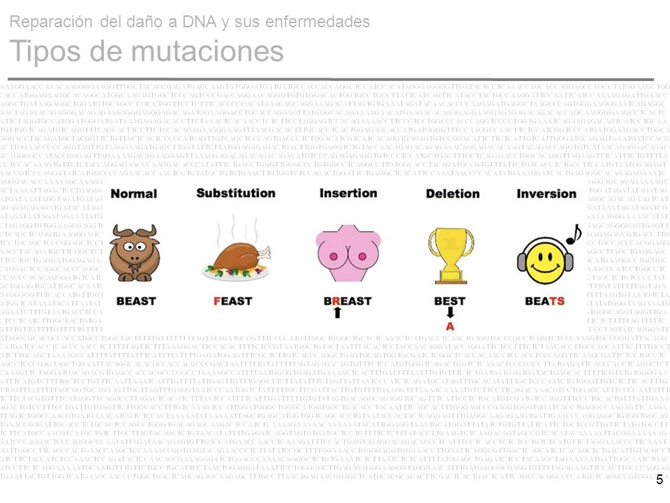 Reparación del daño a DNA y sus enfermedades Tipos de mutaciones