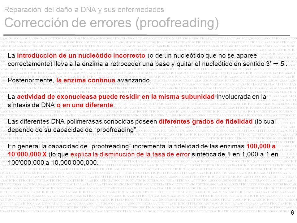 Reparación del daño a DNA y sus enfermedades Corrección de errores (proofreading)