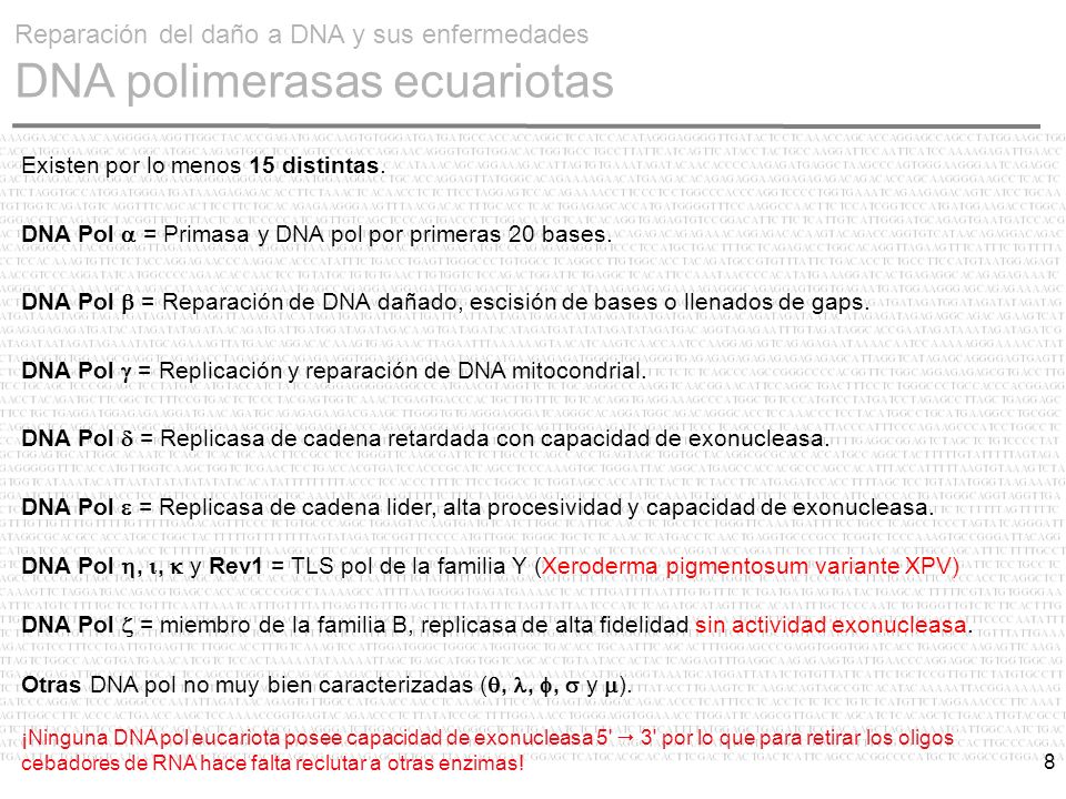 Reparación del daño a DNA y sus enfermedades DNA polimerasas ecuariotas