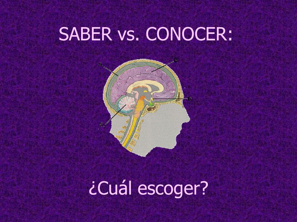SABER vs. CONOCER: ¿Cuál escoger