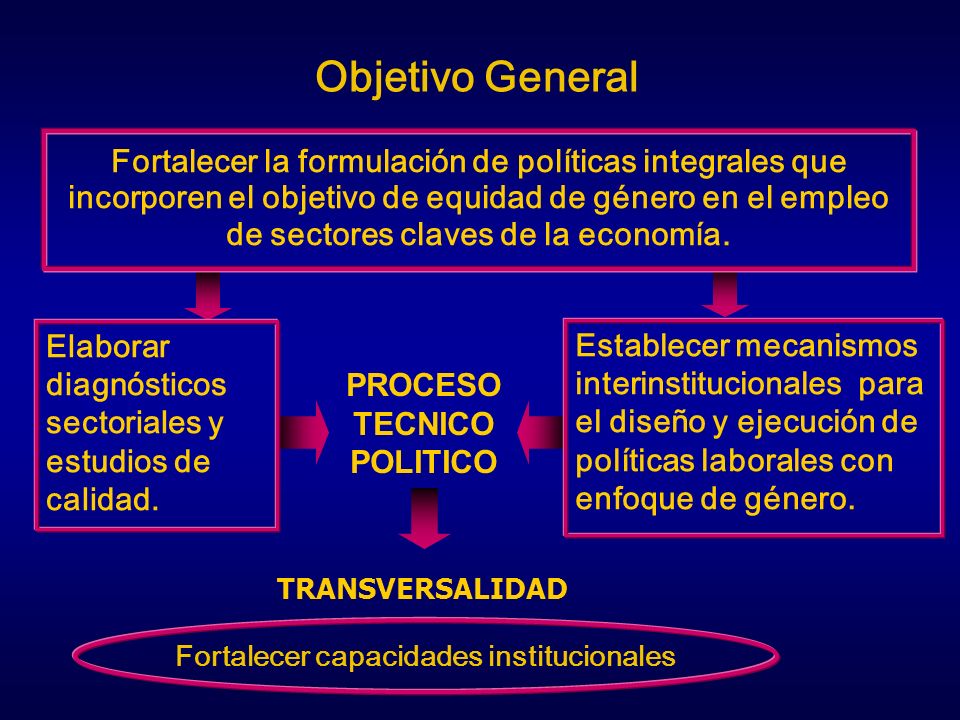 PROCESO TECNICO POLITICO Fortalecer capacidades institucionales