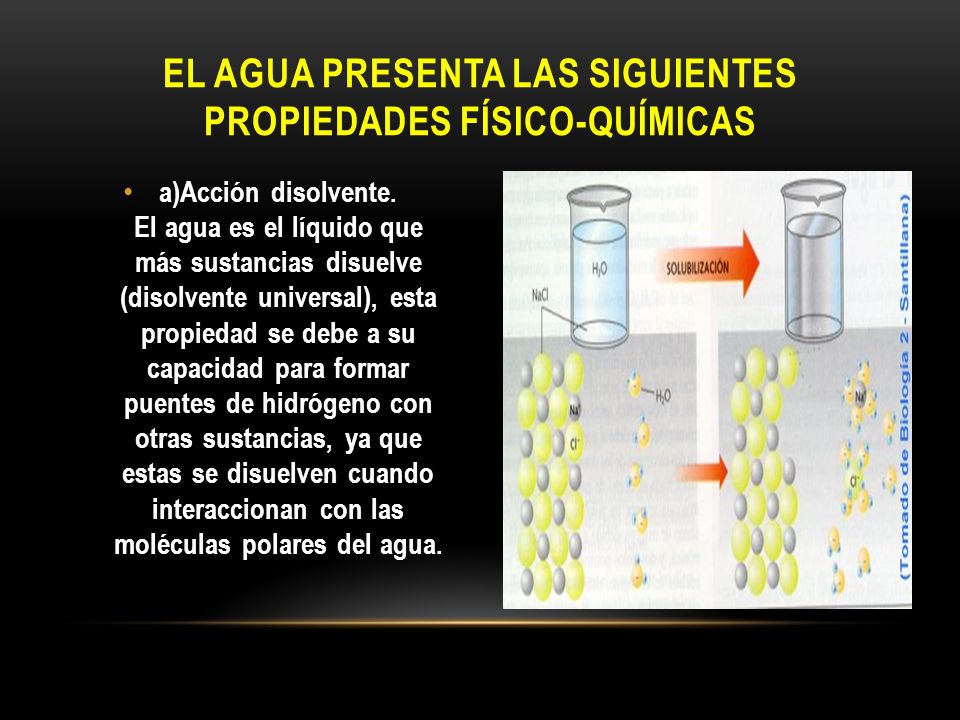 El agua presenta las siguientes propiedades físico-químicas a)Acción  disolvente. El agua es el líquido que más sustancias disuelve (disolvente.  - ppt descargar