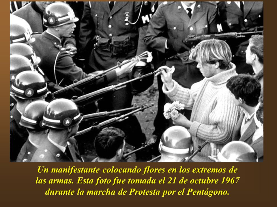 Un manifestante colocando flores en los extremos de las armas