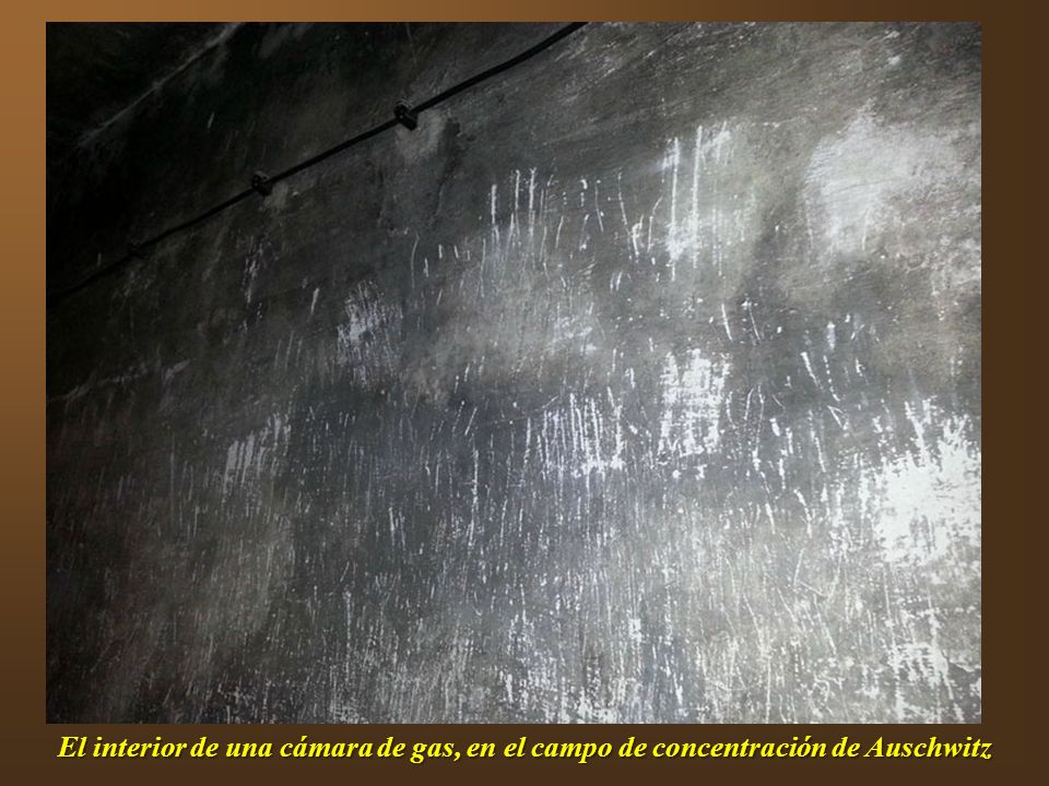 El interior de una cámara de gas, en el campo de concentración de Auschwitz