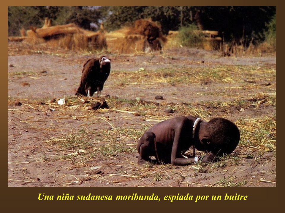 Una niña sudanesa moribunda, espiada por un buitre