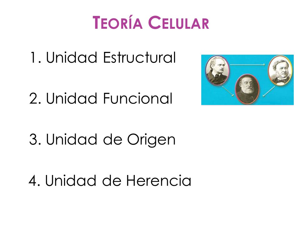 2. Unidad Funcional 3. Unidad de Origen 4. Unidad de Herencia