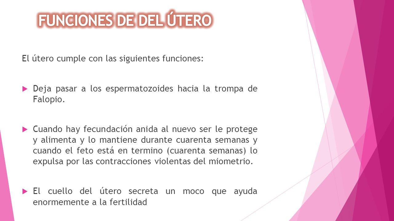 FUNCIONES DE DEL ÚTERO El útero cumple con las siguientes funciones:
