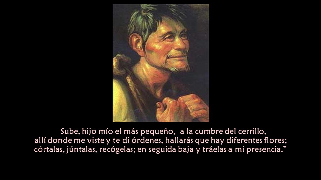 Sube, hijo mío el más pequeño, a la cumbre del cerrillo, allí donde me viste y te di órdenes, hallarás que hay diferentes flores; córtalas, júntalas, recógelas; en seguida baja y tráelas a mi presencia.
