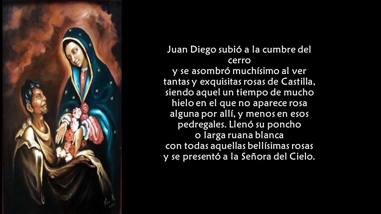 Juan Diego subió a la cumbre del cerro y se asombró muchísimo al ver tantas y exquisitas rosas de Castilla, siendo aquel un tiempo de mucho hielo en el que no aparece rosa alguna por allí, y menos en esos pedregales.