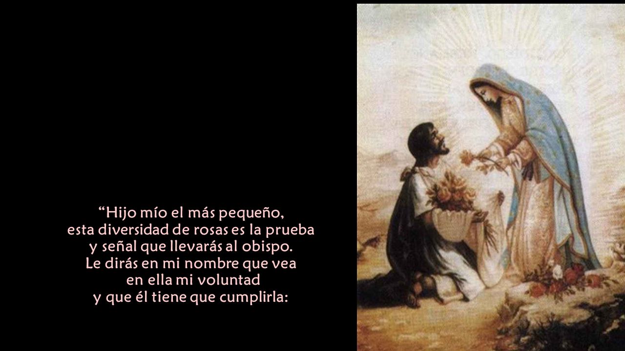 Hijo mío el más pequeño, esta diversidad de rosas es la prueba y señal que llevarás al obispo.