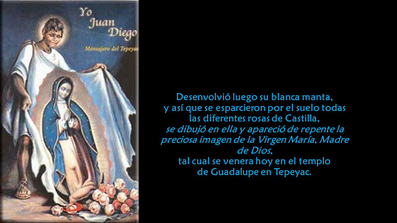 Desenvolvió luego su blanca manta, y así que se esparcieron por el suelo todas las diferentes rosas de Castilla, se dibujó en ella y apareció de repente la preciosa imagen de la Virgen María, Madre de Dios, tal cual se venera hoy en el templo de Guadalupe en Tepeyac.