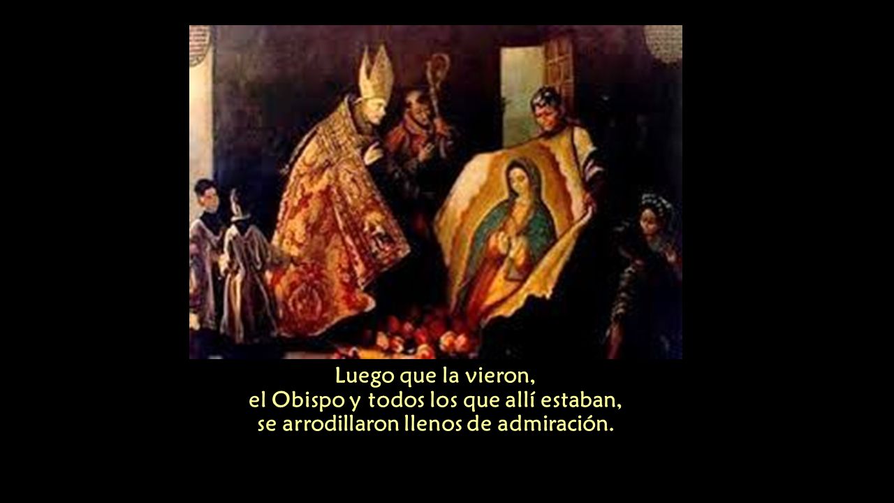 Luego que la vieron, el Obispo y todos los que allí estaban, se arrodillaron llenos de admiración.