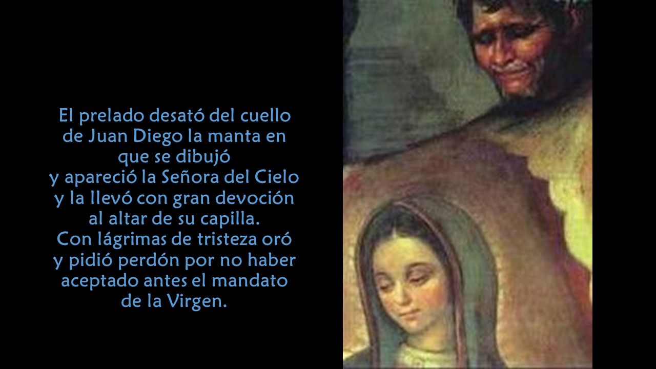 El prelado desató del cuello de Juan Diego la manta en que se dibujó y apareció la Señora del Cielo y la llevó con gran devoción al altar de su capilla.