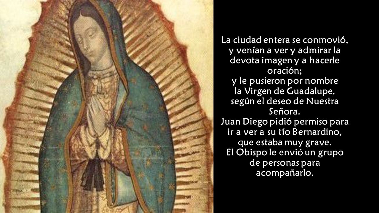 La ciudad entera se conmovió, y venían a ver y admirar la devota imagen y a hacerle oración; y le pusieron por nombre la Virgen de Guadalupe, según el deseo de Nuestra Señora.