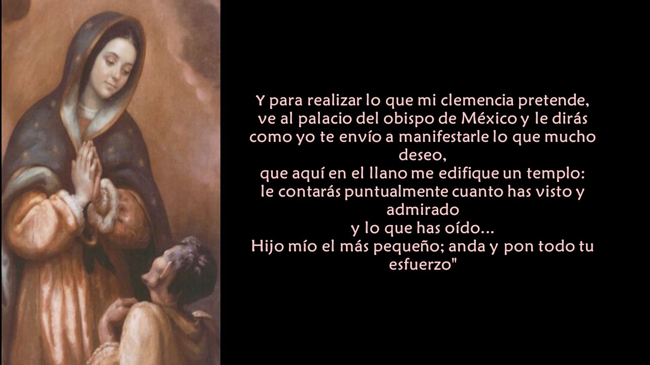 Y para realizar lo que mi clemencia pretende, ve al palacio del obispo de México y le dirás como yo te envío a manifestarle lo que mucho deseo, que aquí en el llano me edifique un templo: le contarás puntualmente cuanto has visto y admirado y lo que has oído...