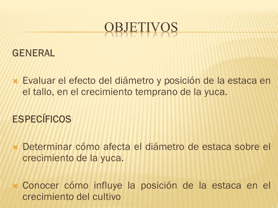 OBJETIVOS GENERAL. Evaluar el efecto del diámetro y posición de la estaca en el tallo, en el crecimiento temprano de la yuca.