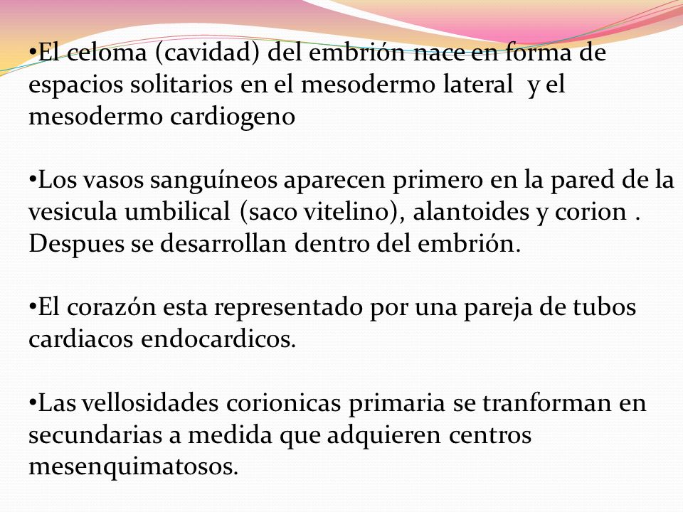 El celoma (cavidad) del embrión nace en forma de espacios solitarios en el mesodermo lateral y el mesodermo cardiogeno