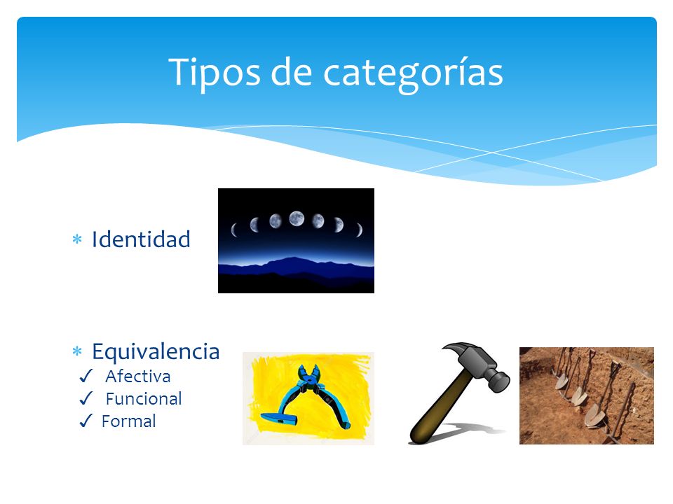 Tipos de categorías Identidad Equivalencia ✓ Afectiva ✓ Funcional