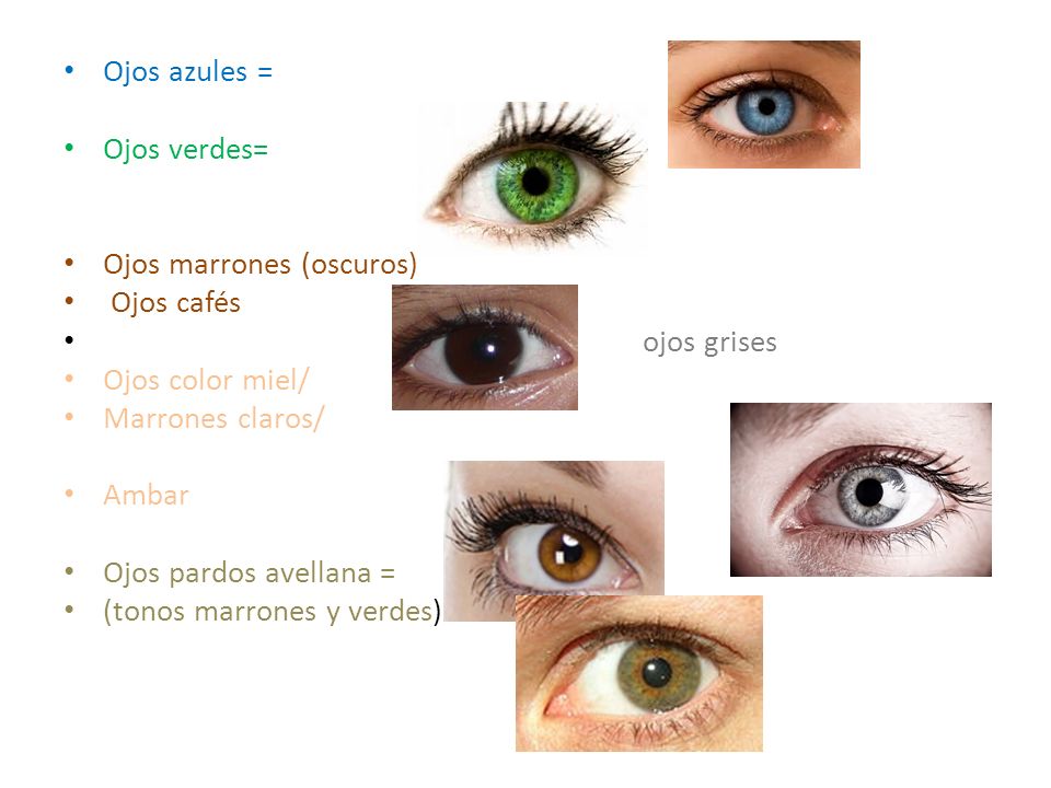 Ojos azules = Ojos verdes= Ojos marrones (oscuros) Ojos cafés. ojos grises. Ojos color miel/ Marrones claros/
