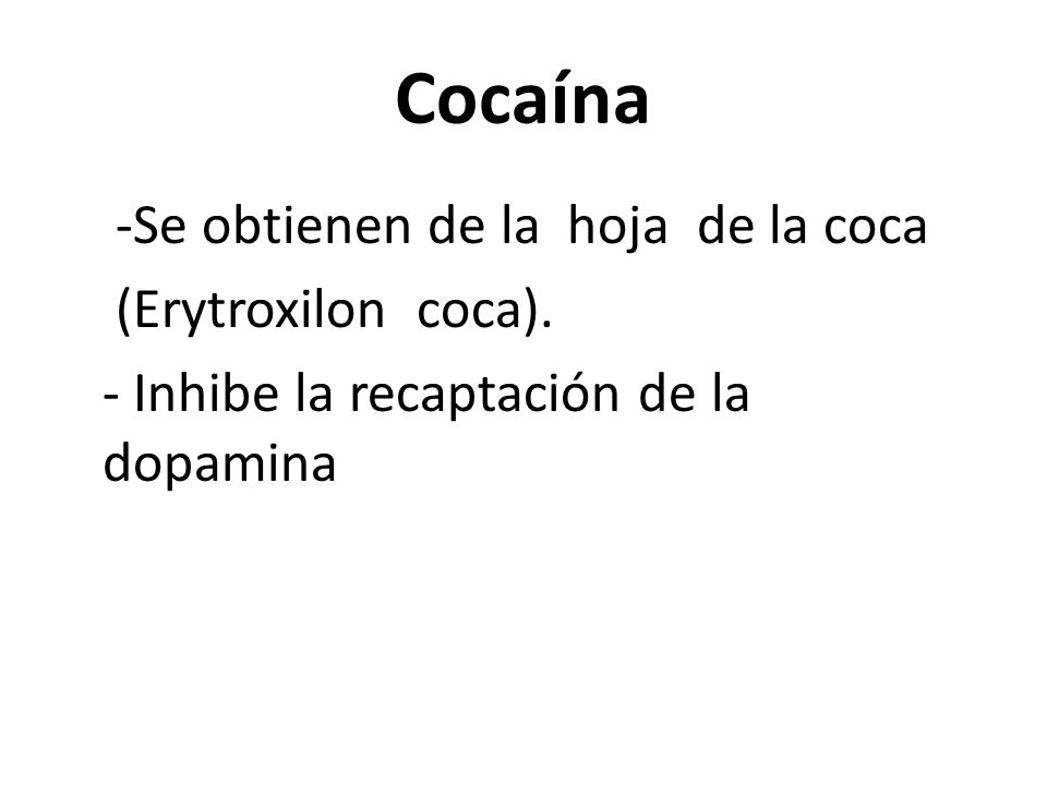 Cocaína -Se obtienen de la hoja de la coca (Erytroxilon coca).