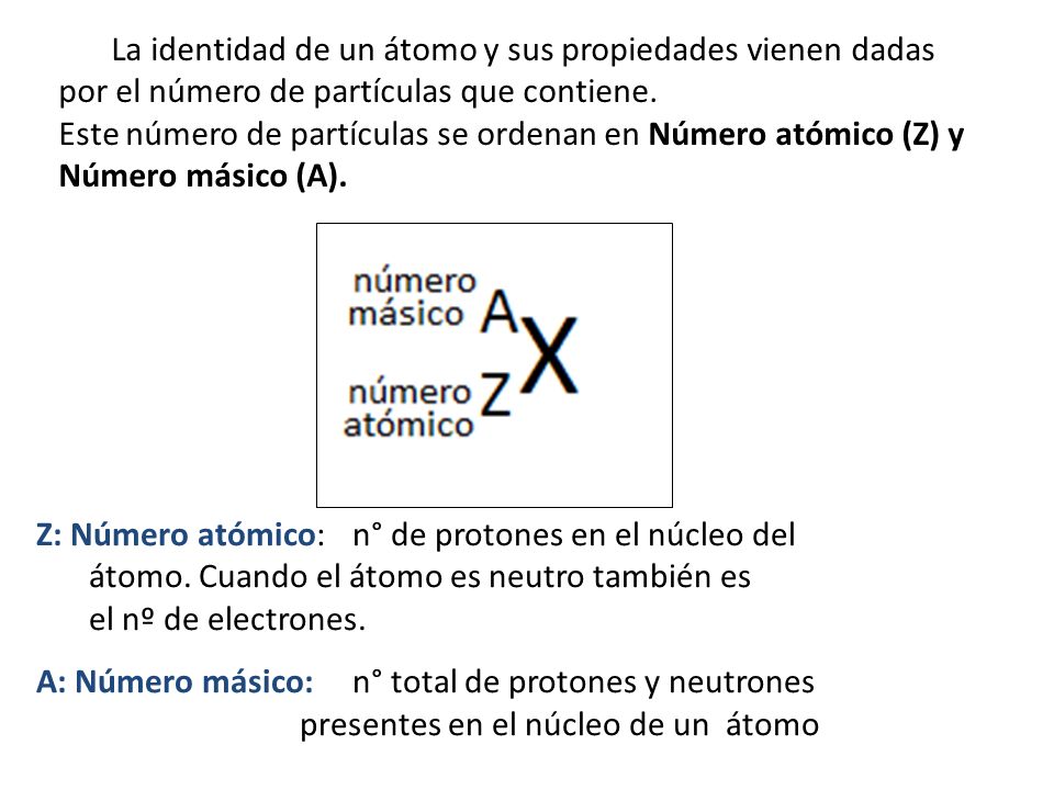 La identidad de un átomo y sus propiedades vienen dadas por el número de partículas que contiene.