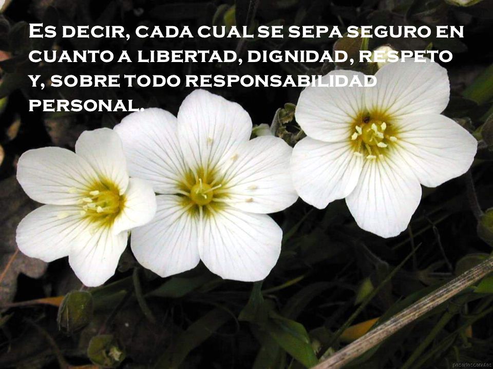Es decir, cada cual se sepa seguro en cuanto a libertad, dignidad, respeto y, sobre todo responsabilidad personal.