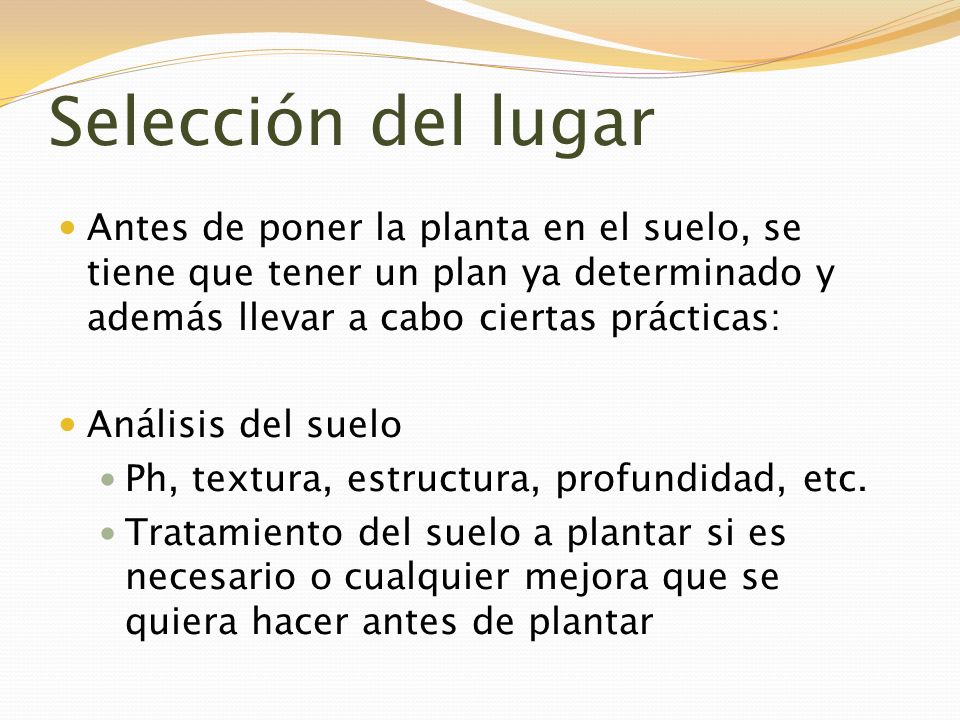 Selección del lugar Antes de poner la planta en el suelo, se tiene que tener un plan ya determinado y además llevar a cabo ciertas prácticas: