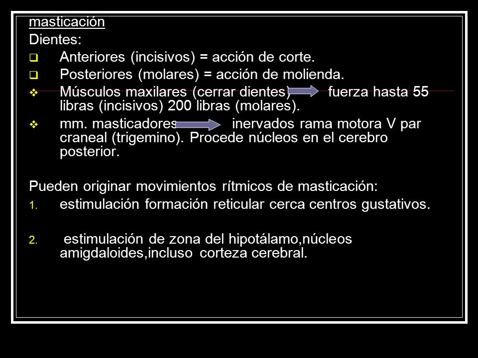 masticación Dientes: Anteriores (incisivos) = acción de corte. Posteriores (molares) = acción de molienda.