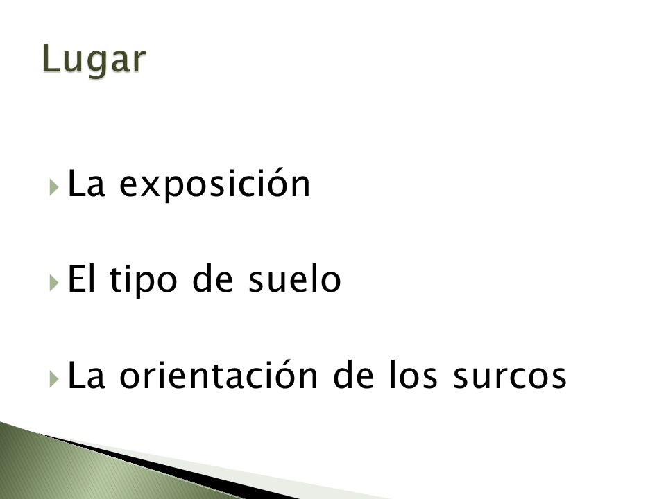 Lugar La exposición El tipo de suelo La orientación de los surcos