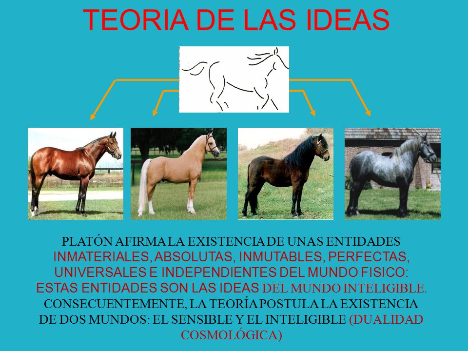 TEORIA DE LAS IDEAS PLATÓN AFIRMA LA EXISTENCIA DE UNAS ENTIDADES
