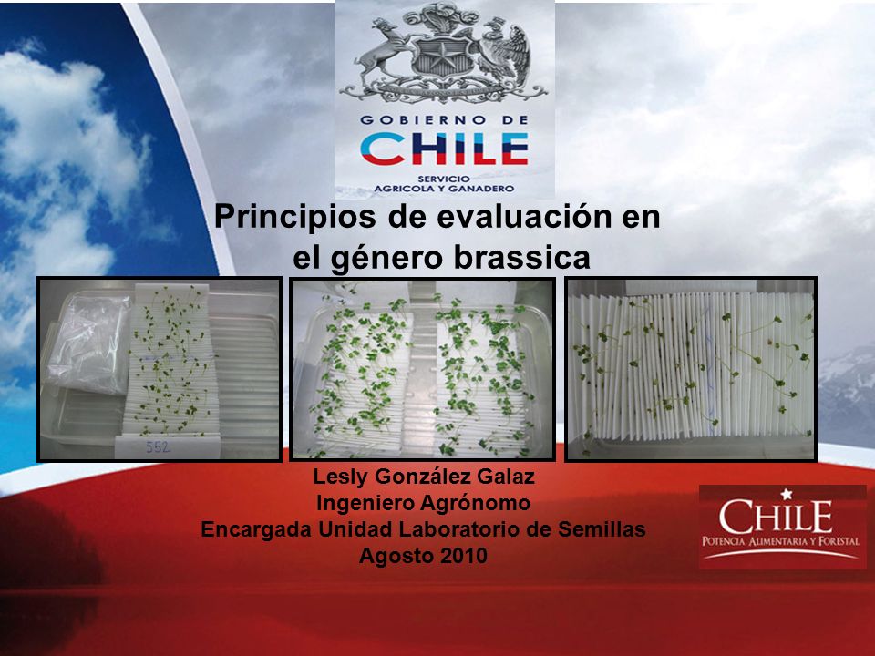 Principios de evaluación en Encargada Unidad Laboratorio de Semillas