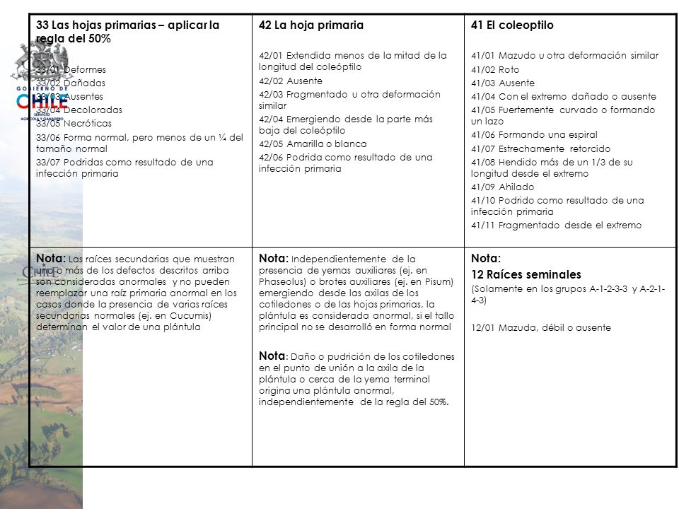 33 Las hojas primarias – aplicar la regla del 50% 42 La hoja primaria