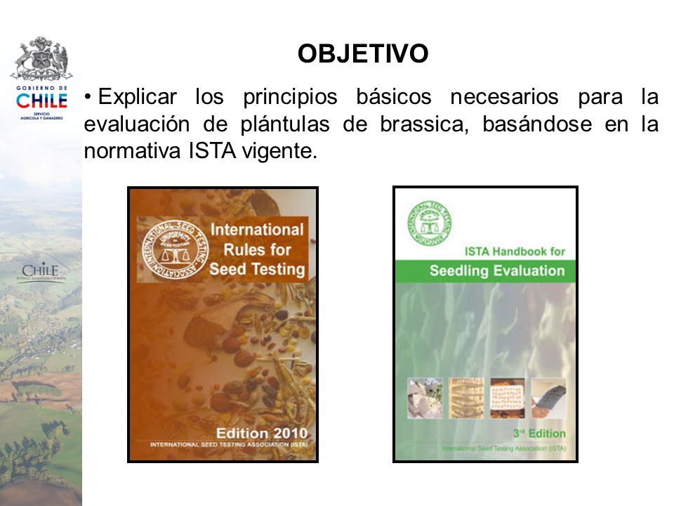 OBJETIVO Explicar los principios básicos necesarios para la evaluación de plántulas de brassica, basándose en la normativa ISTA vigente.