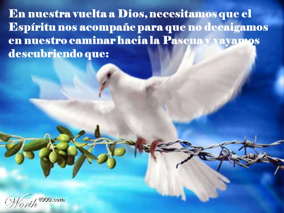 En nuestra vuelta a Dios, necesitamos que el Espíritu nos acompañe para que no decaigamos en nuestro caminar hacia la Pascua y vayamos descubriendo que: