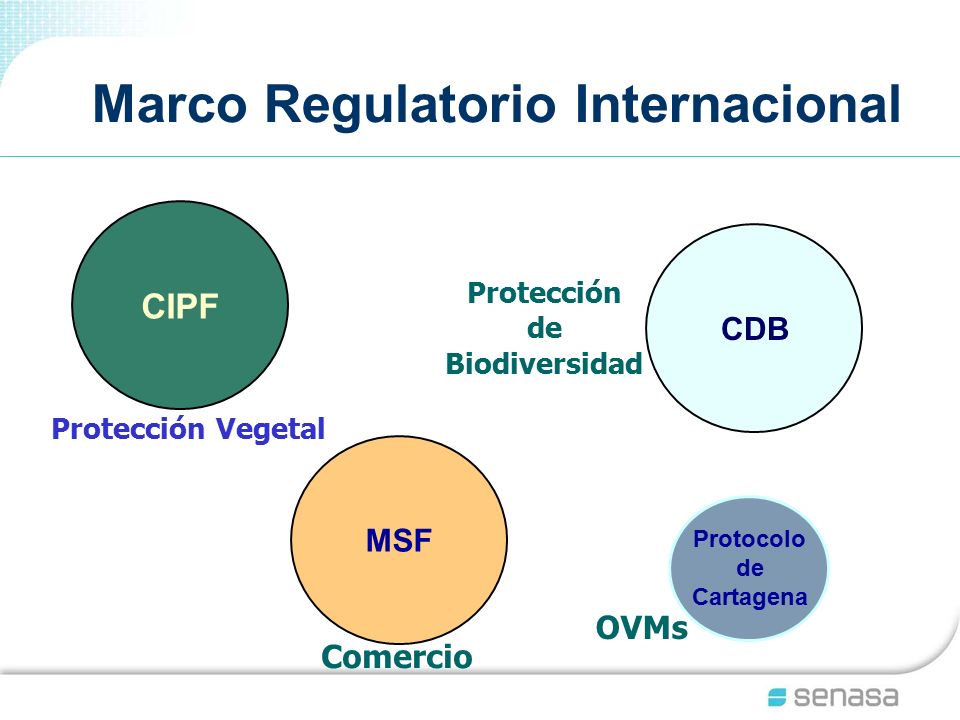 Marco Regulatorio Internacional Protocolo de Cartagena