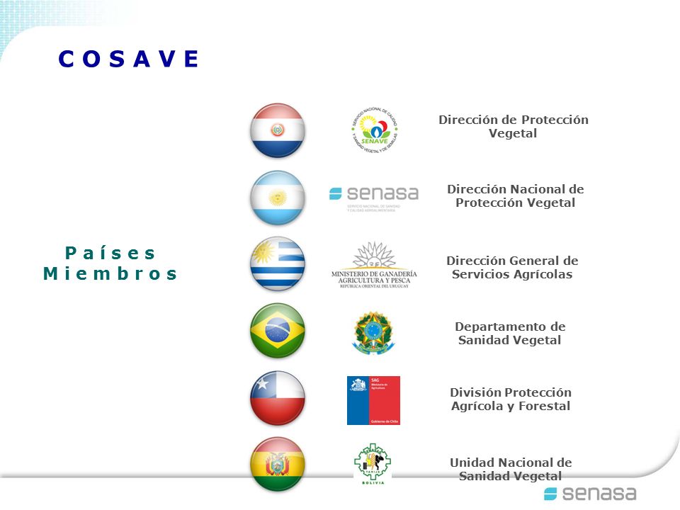 C O S A V E P a í s e s M i e m b r o s