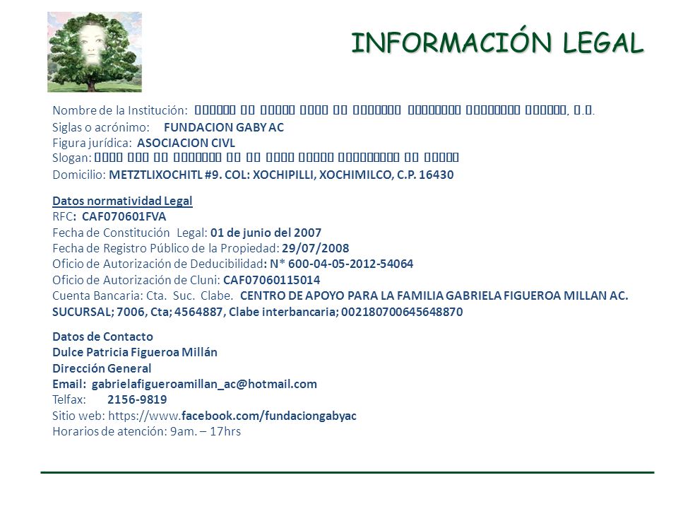 INFORMACIÓN LEGAL Nombre de la Institución: CENTRO DE APOYO PARA LA FAMILIA GABRIELA FIGUEROA MILLAN, A.C.