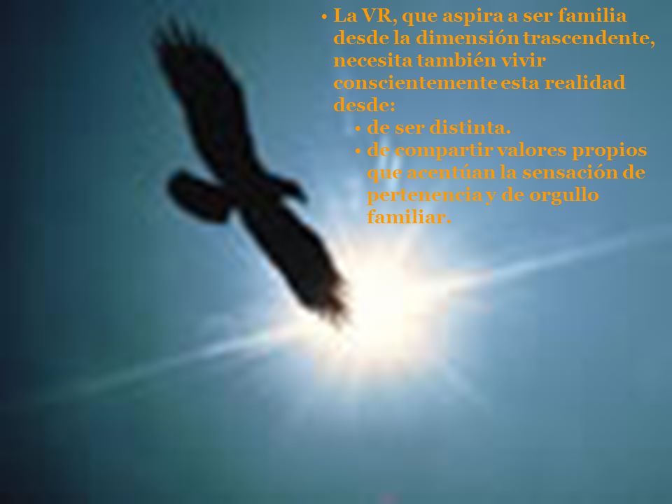 La VR, que aspira a ser familia desde la dimensión trascendente, necesita también vivir conscientemente esta realidad desde: