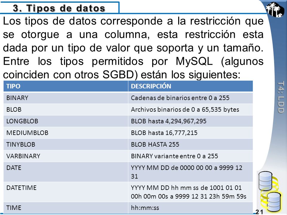 3. Tipos de datos T4: LDD.