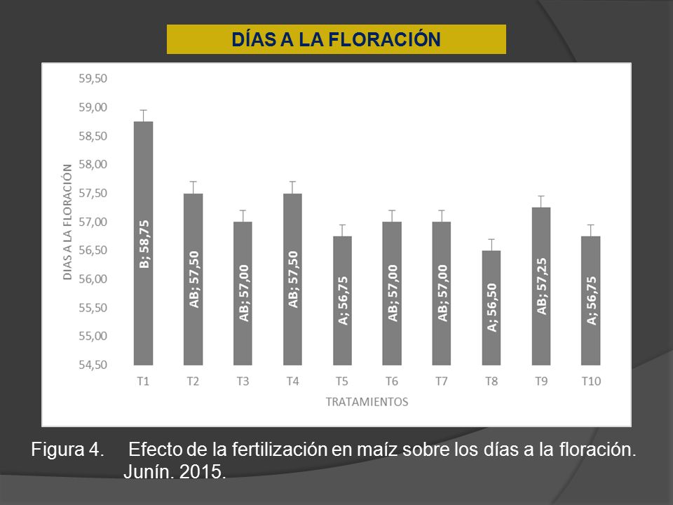 DÍAS A LA FLORACIÓN Figura 4. Efecto de la fertilización en maíz sobre los días a la floración.