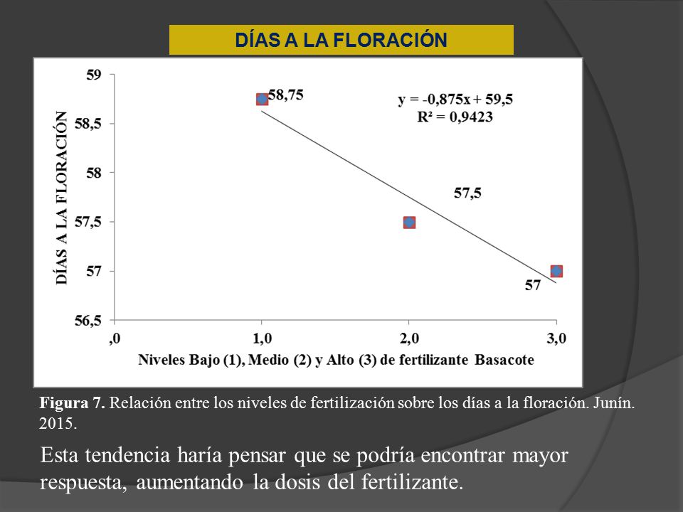 DÍAS A LA FLORACIÓN Figura 7. Relación entre los niveles de fertilización sobre los días a la floración. Junín