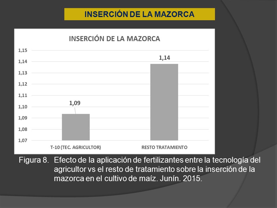 INSERCIÓN DE LA MAZORCA
