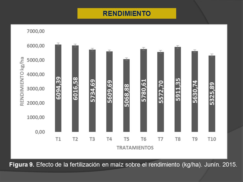 RENDIMIENTO Figura 9. Efecto de la fertilización en maíz sobre el rendimiento (kg/ha). Junín