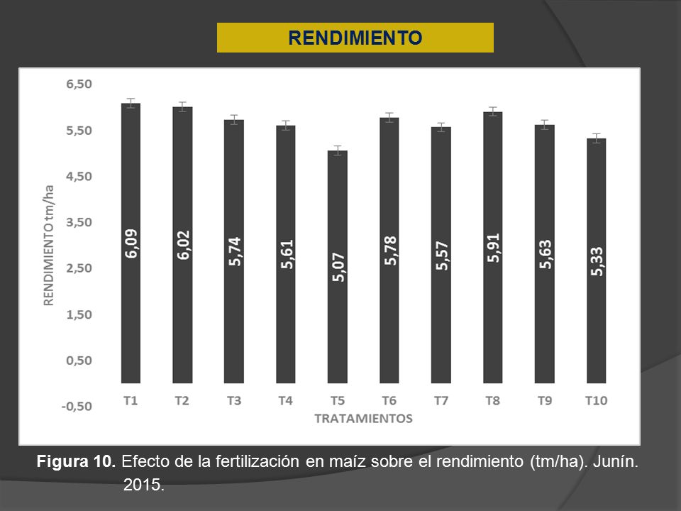 RENDIMIENTO Figura 10. Efecto de la fertilización en maíz sobre el rendimiento (tm/ha).