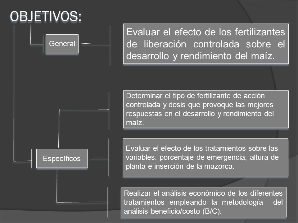 OBJETIVOS: Evaluar el efecto de los fertilizantes de liberación controlada sobre el desarrollo y rendimiento del maíz.